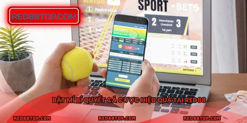 Bật mí bí quyết cá cược hiệu quả tại RED88