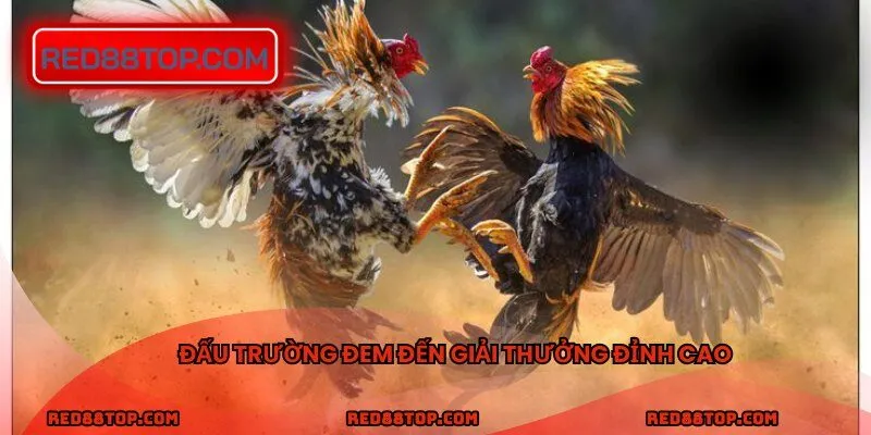 Đấu trường đem đến giải thưởng đỉnh cao