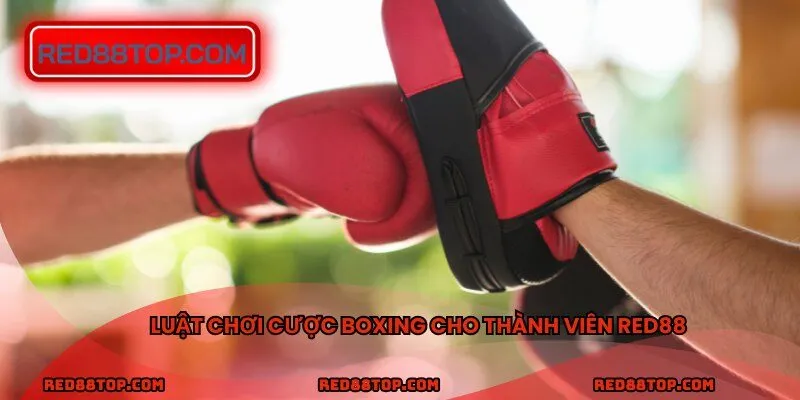 Luật chơi cược boxing cho thành viên RED88