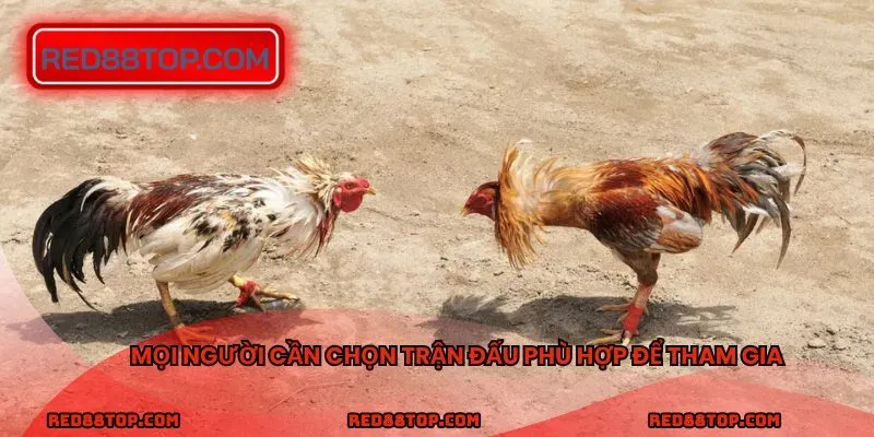Mọi người cần chọn trận đấu phù hợp để tham gia