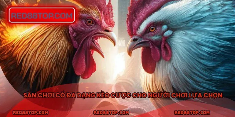 Sân chơi có đa dạng kèo cược cho người chơi lựa chọn
