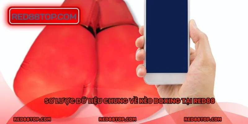 Sơ lược dữ liệu chung về kèo boxing tại RED88